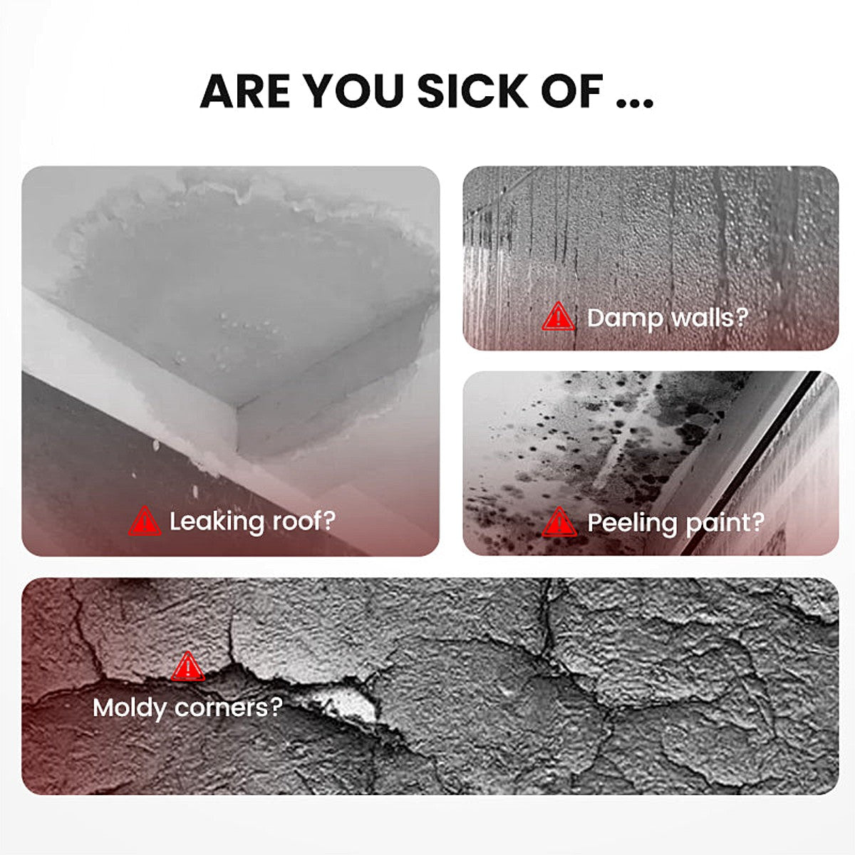 Leaking roof, damp walls, peeling paint and mouldy corners